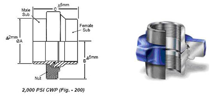 Hammer Union Fig 200 Structure